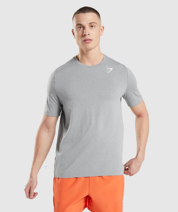 Panske Tricka Gymshark Arrival Seamless Siva | WK3897264